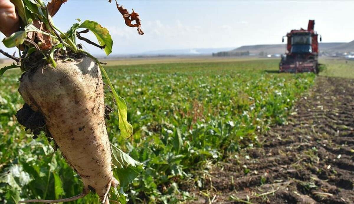 Tarım ve Orman Bakanlığı 478 projeye 1 milyar lirayı aşkın hibe ödeyecek görseli