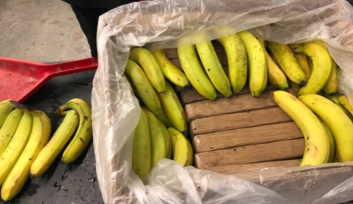 Ülke tarihinin en büyük operasyonu: Muz konteynerleri içerisinde 9.4 ton kokain ele geçirildi görseli