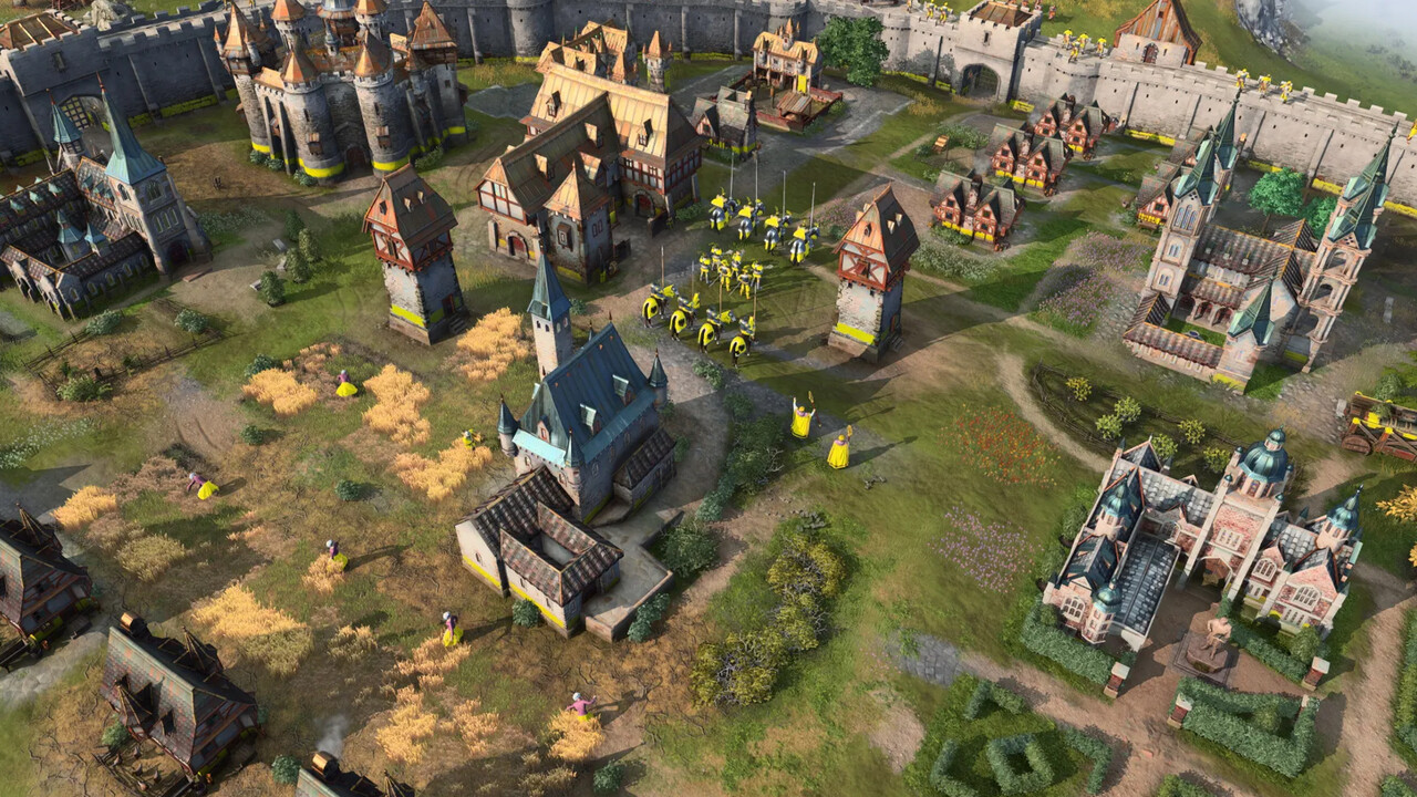 Age of Empires oyunu karıncalar için kullanılacak görseli