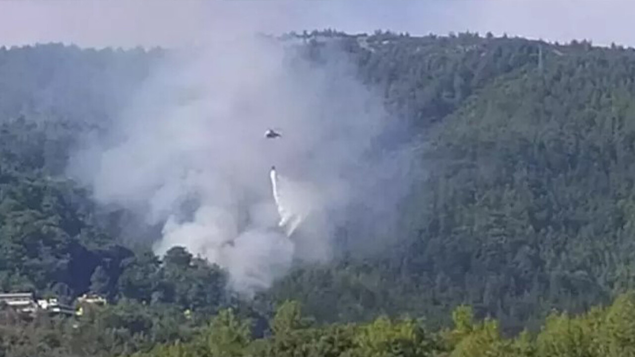Antalya'da orman yangını! 2 dönümlük ormanlık alan zarar gördü görseli