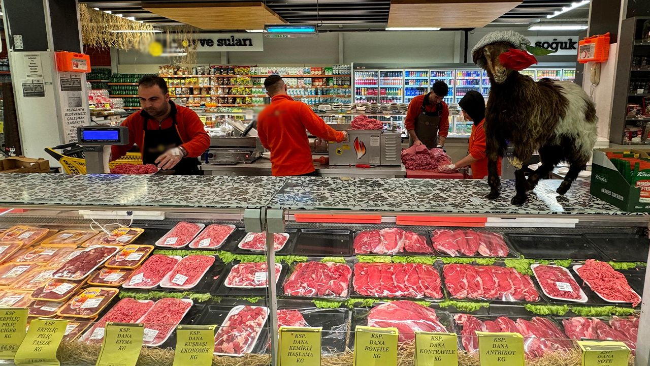 Zincir marketlerde ucuz et kampanyası başladı! İşte kıyma ve kuşbaşının fiyatı görseli