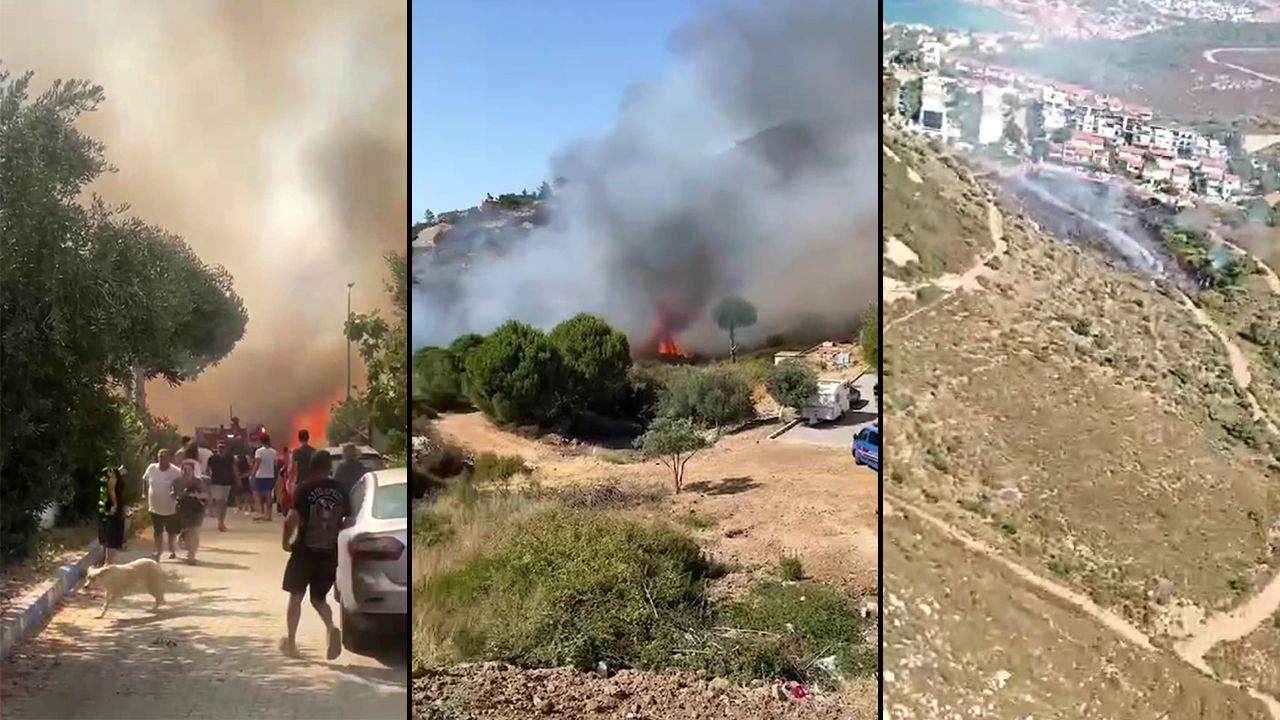 İzmir'de orman yangını! Havadan ve karadan müdahale ediliyor görseli