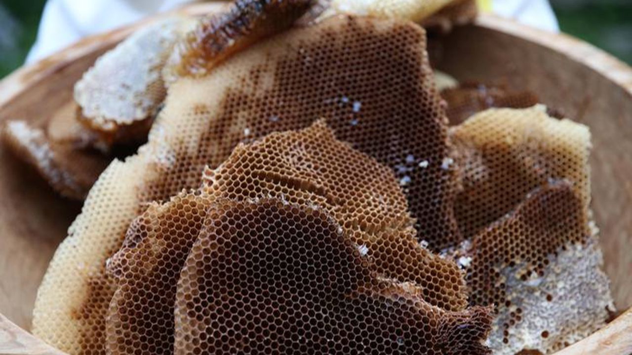 Şifa deposu Ayder balının hasadı başladı! Kilosu 3 bin TL görseli