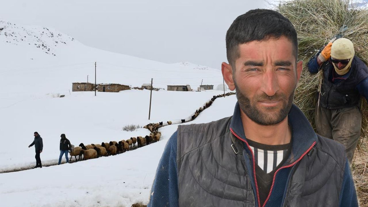 1 ay okul, 20 yıl dağlar... Tek bir şehir yüzü görmeyen 26 yaşındaki çobanın film gibi hikayesi görseli