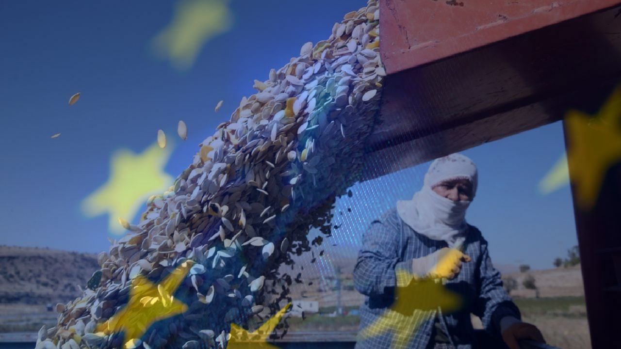 Fransa, Almanya, İngiltere... Çankırı'dan dünyaya 36 milyonluk ihracat! görseli