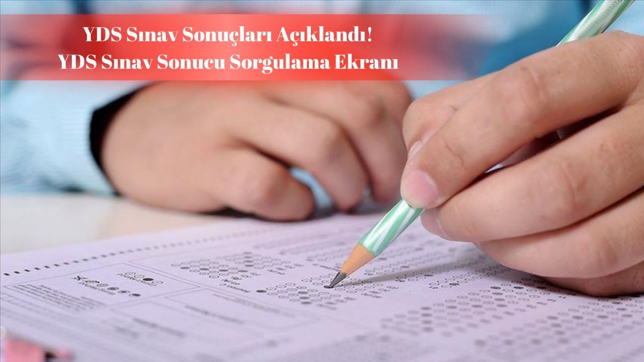YDS sınav sonucu sorgulama ekranı: Yabancı Dil Bilgisi Seviye Tespit Sınavı sonuçları nasıl sorgulanır? görseli
