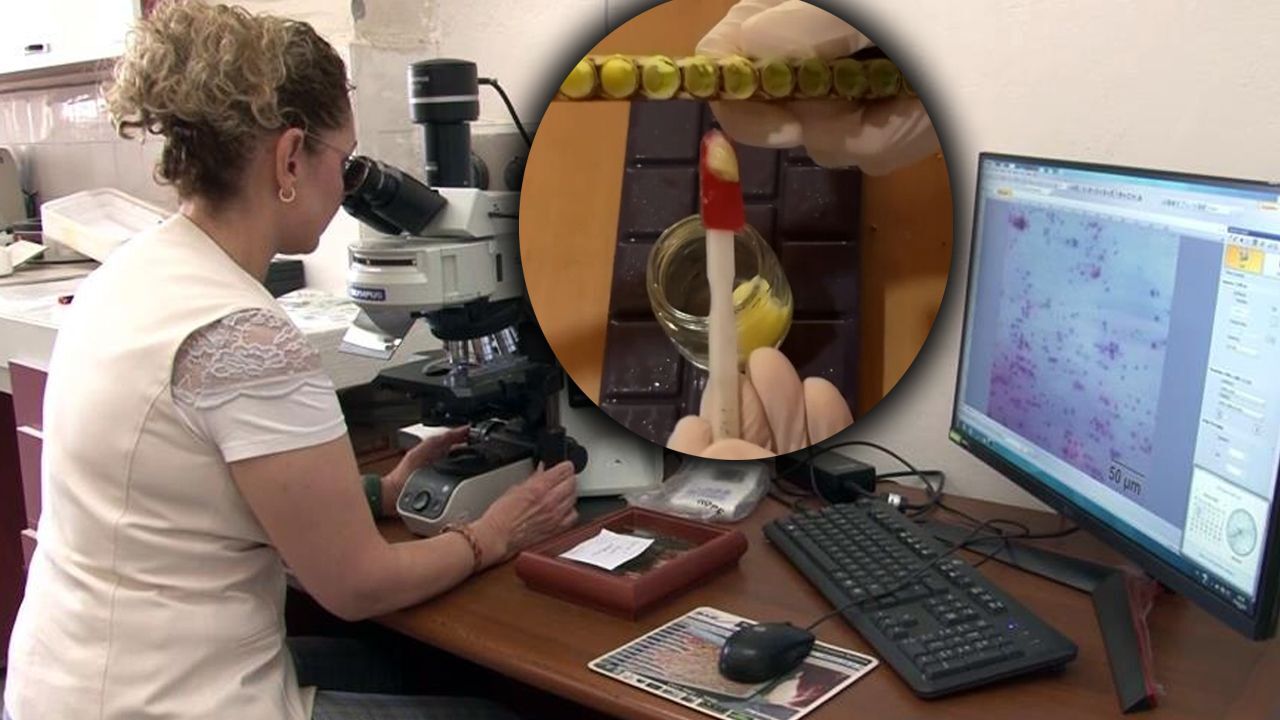 Bilim insanlarını heyecanlandıran buluş! Dünyanın en kıymetli besini kısırlığı tarihe karıştıracak görseli