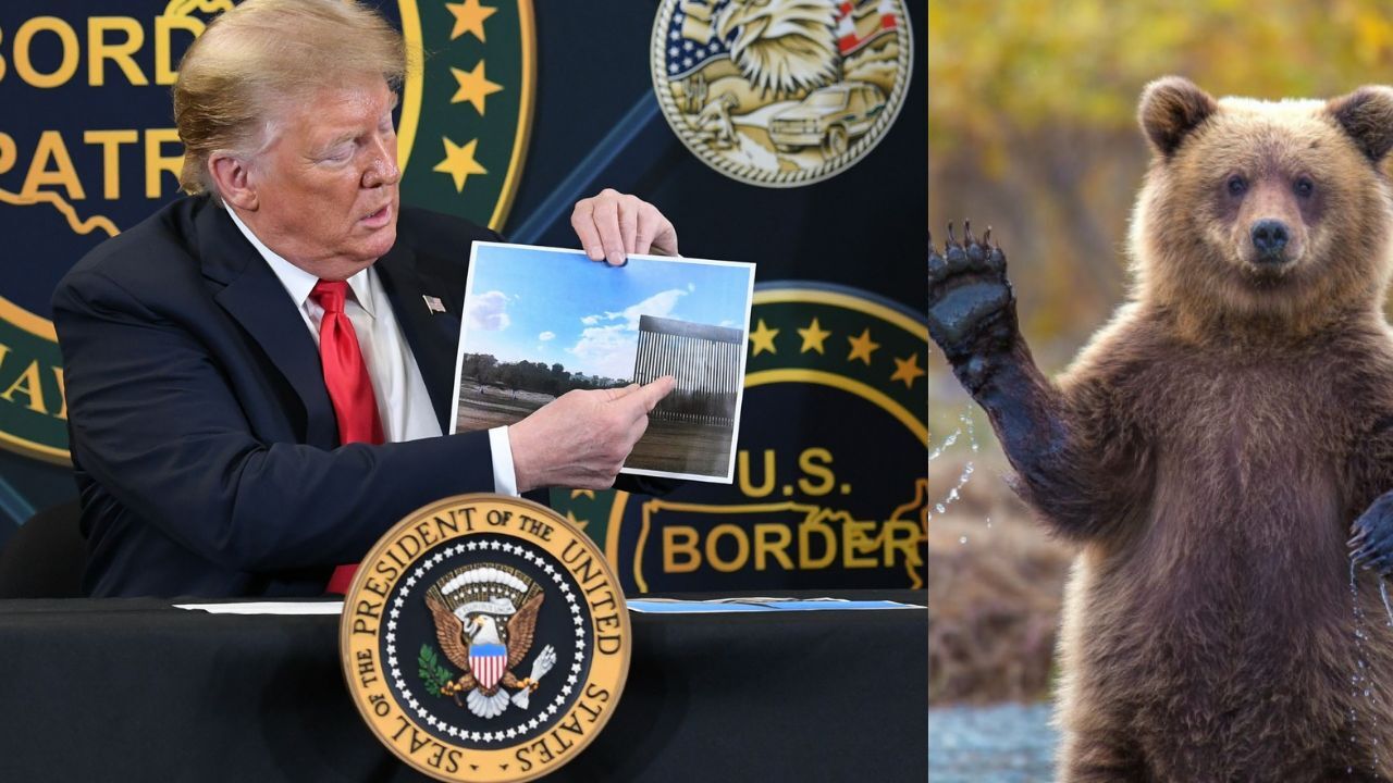 Göçmenlere ‘ayılı hapishane’ tehdidi! Trump’tan tam destek görseli