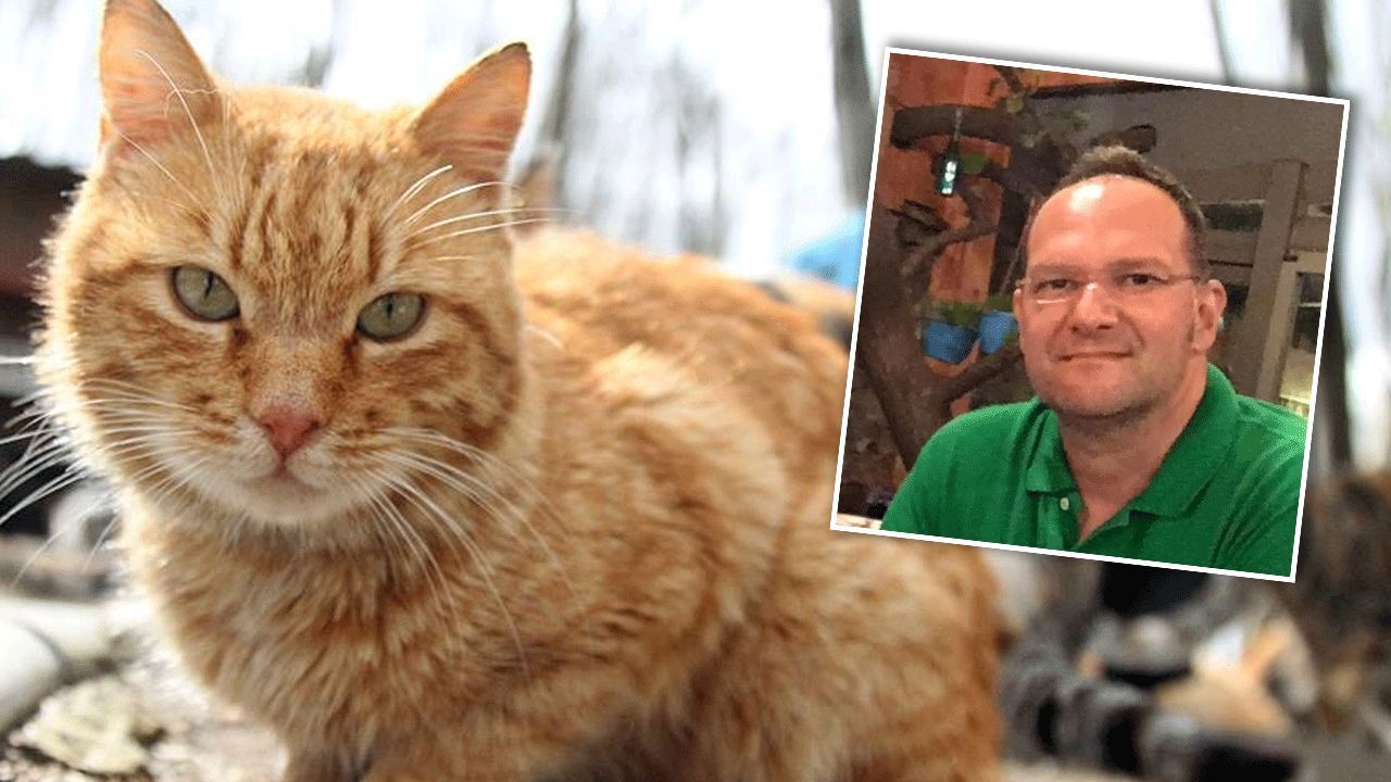 Kedi sevgisi sonu oldu! Akciğerine kaçan tüy nedeniyle hayatını kaybetti