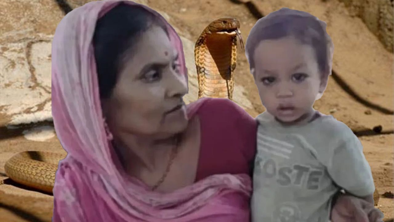 Akıllara durgunluk veren olay! 2 yaşındaki bebek yılanı ısırarak öldürdü