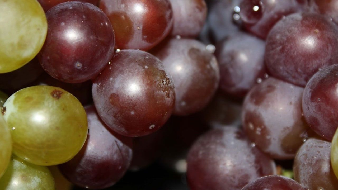 Faydası saymakla bitmiyor! İyi gelmediği şey yok… 100 gramı yalnızca 80 kalori