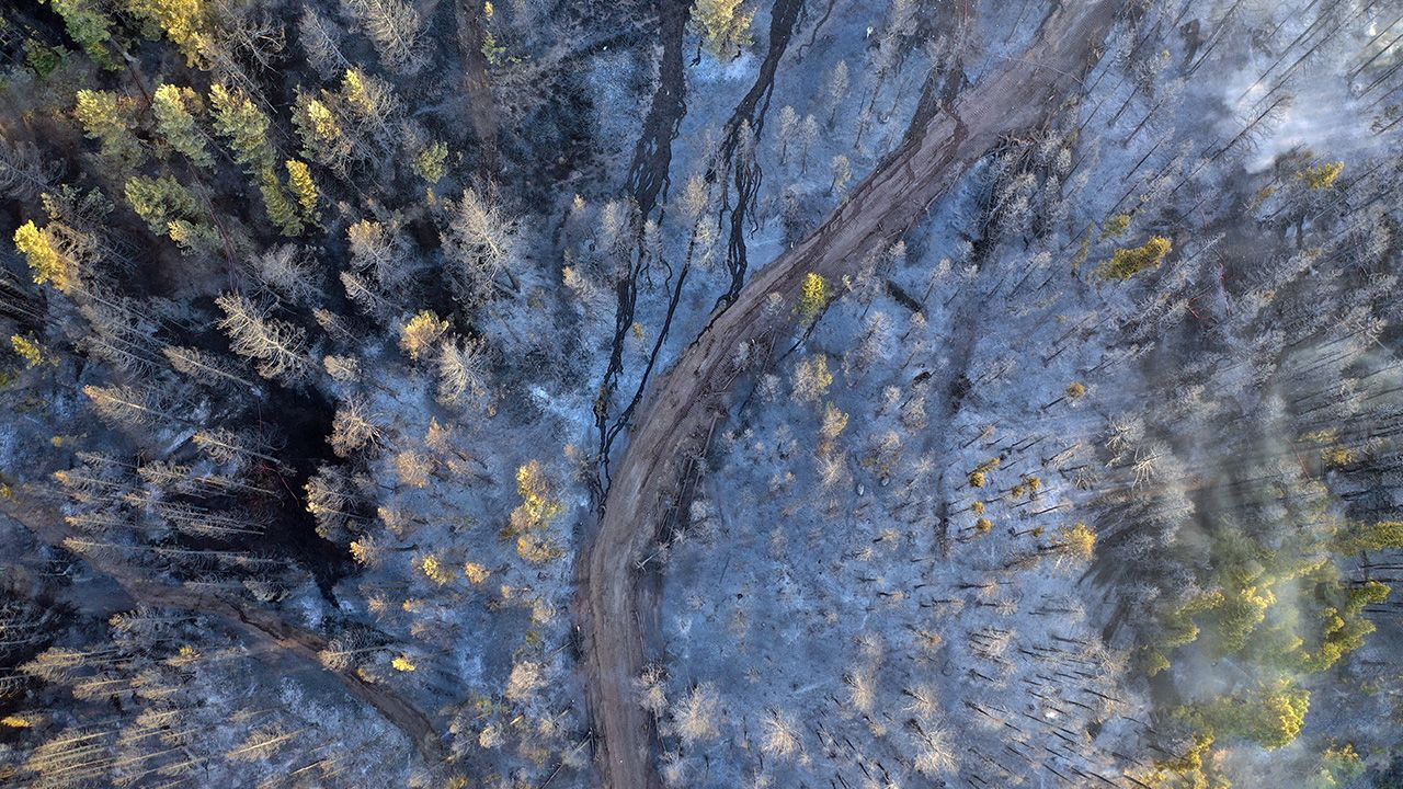 10 saatlik yangın ciğerlerimizi yaktı! Tahribat gün ağarınca ortaya çıktı