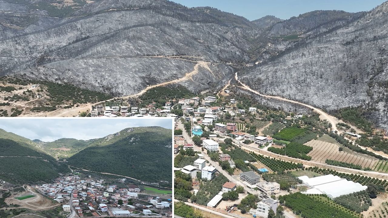 Yeşil Bursa, kara toprağa döndü... Gürsu