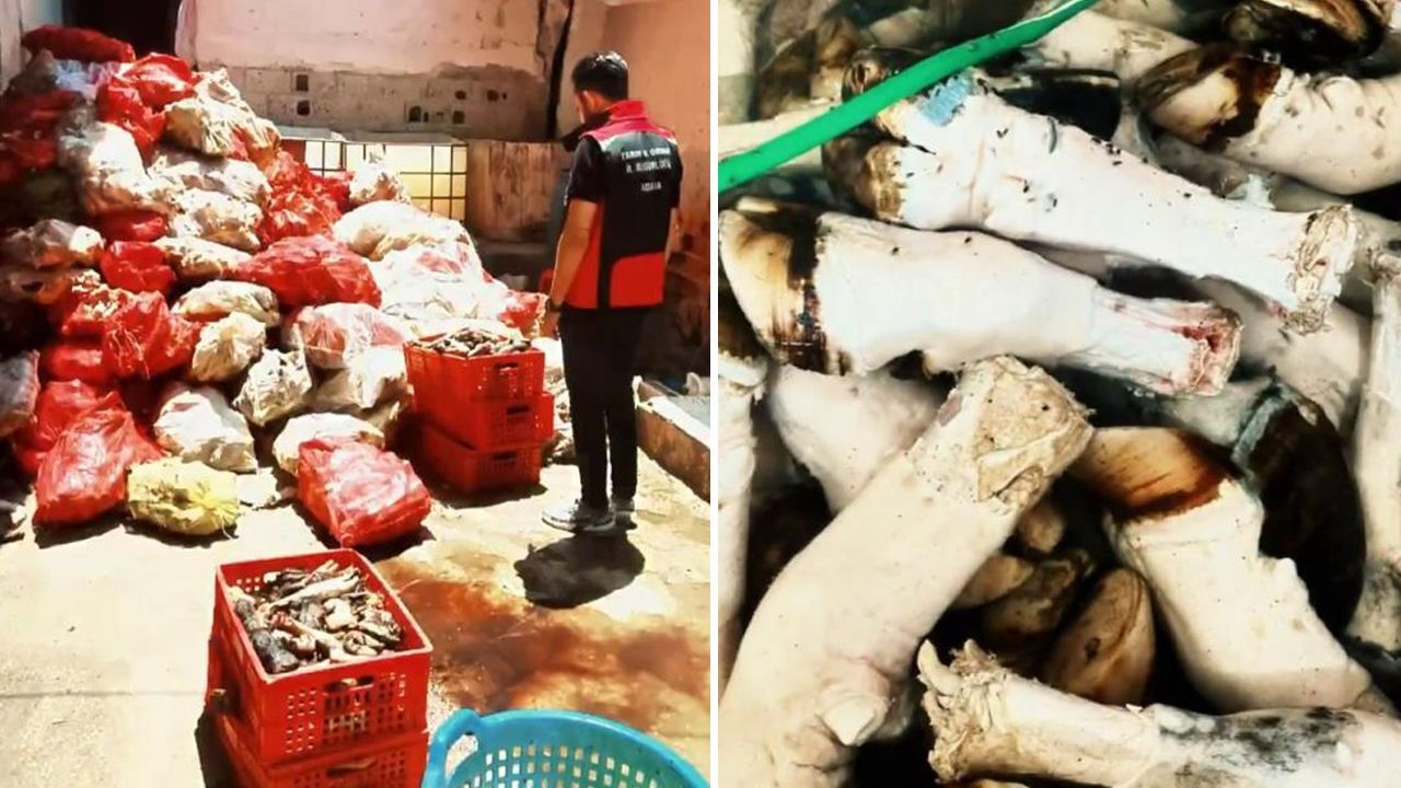 Yine Adana yine gıda skandalı! Vatandaşa yedireceklerdi, 5 ton yakalandı