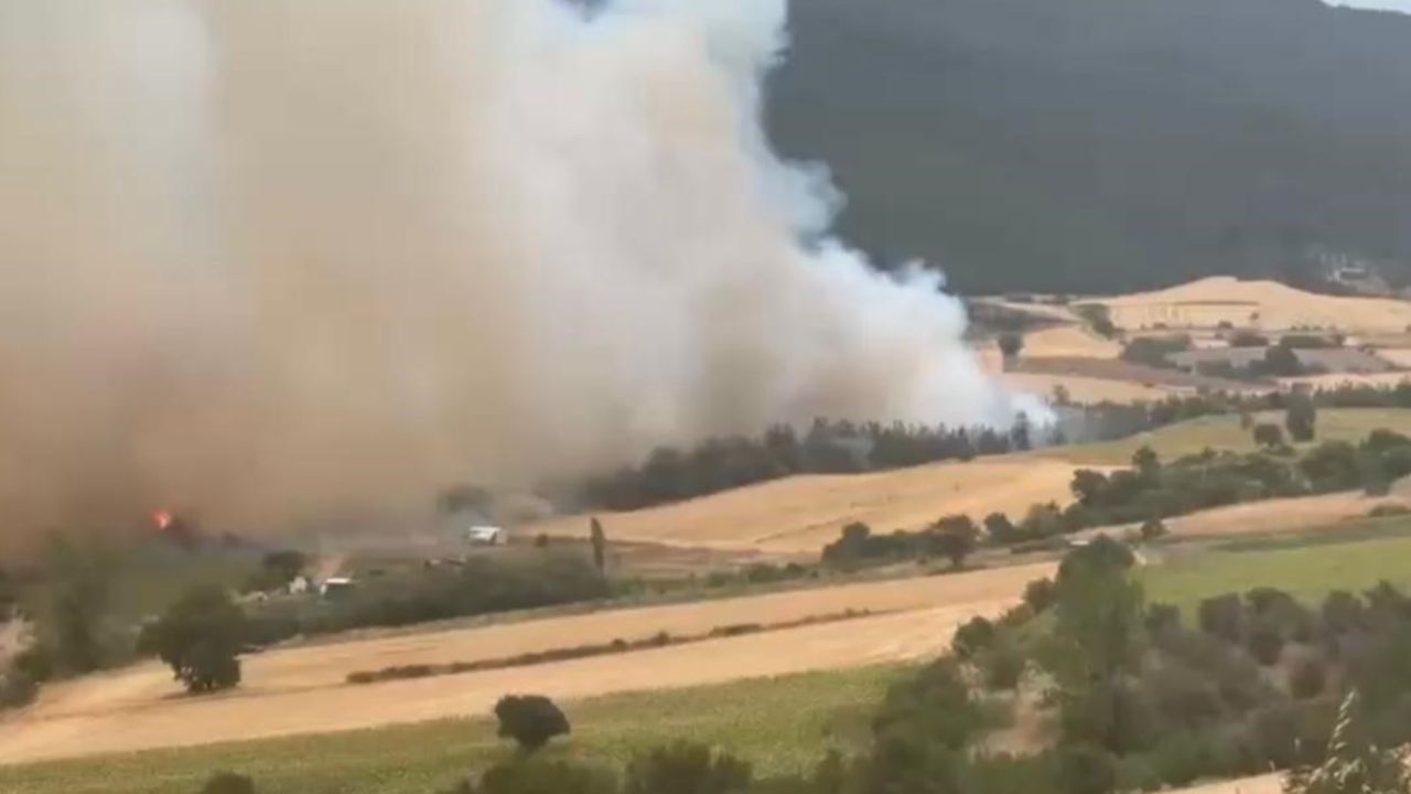 Bursa’da başlayan orman yangını kontrol altına alındı