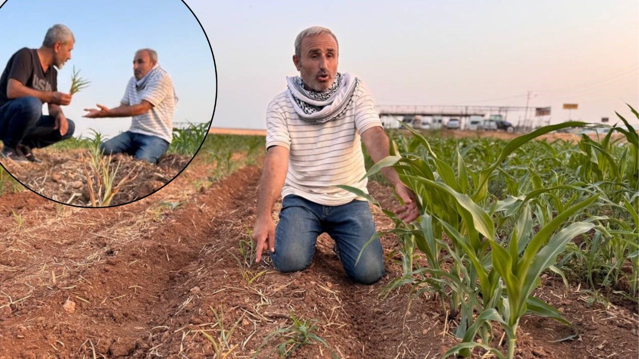 400 bin TL'lik yatırıma rağmen tarla boş kaldı... Suruçlu çiftçi isyan etti: Ruh sağlığım bozuldu