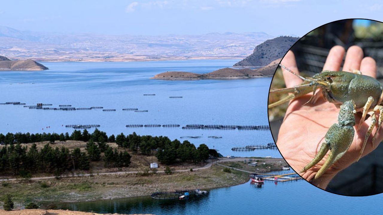 Göl kenarında gördükleriyle şaşkına döndüler! Endişeye düşüren manzara sonrası araştırma talep ettiler