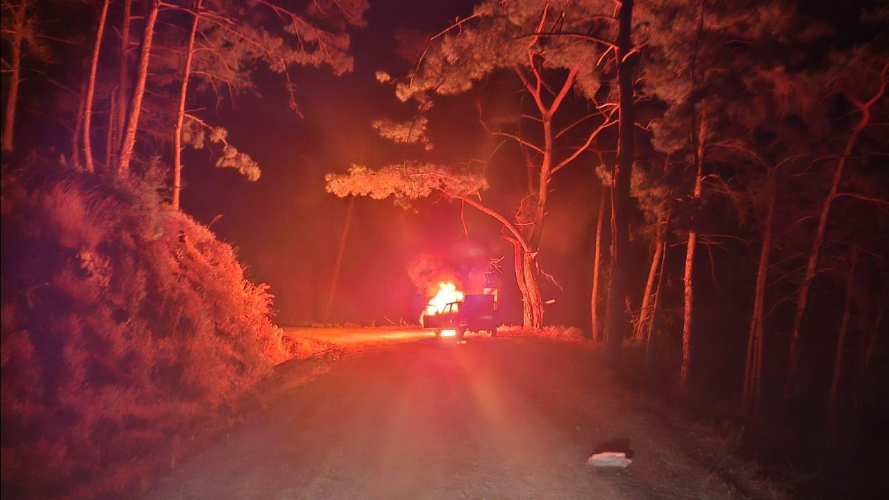 Tofaş yürüyen alev topuna döndü! Orman yangını son anda önlendi