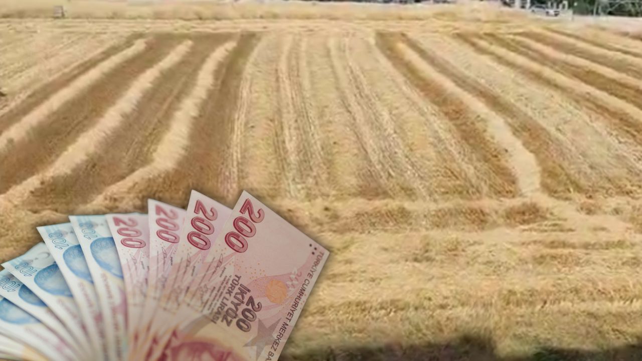 30 milyon değerindeki tarlasını satmadı, yalnızca 39 bin TL gelir elde etti... "Tarımda gelinen son nokta" diyerek paylaştı