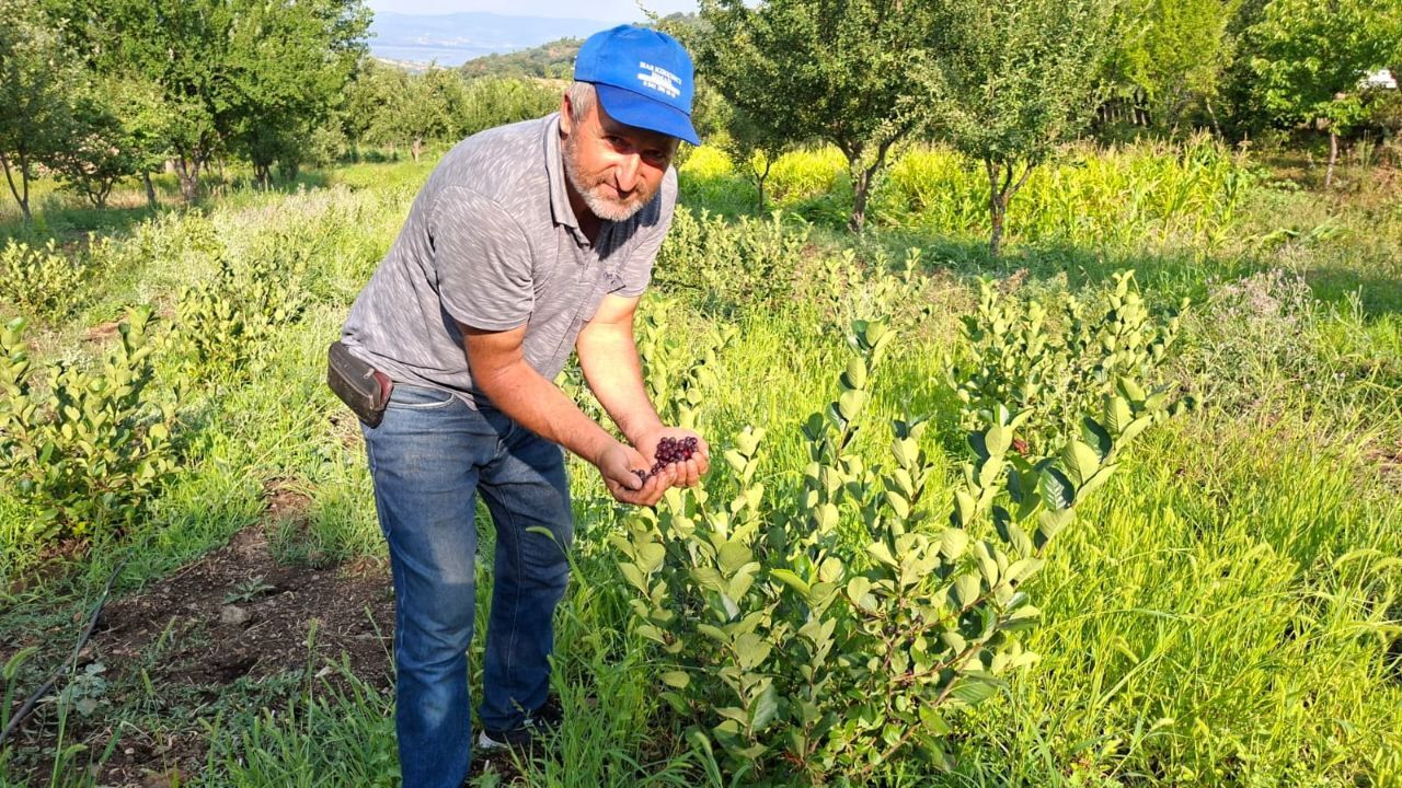 Kanser hastaları için ilaç! Reyonların aranan meyvesi, kilosu 200 lira...