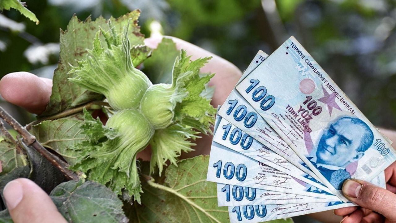 Fiyatı 200 TL olarak açıklanmıştı! Tezgahlarda 300 TL