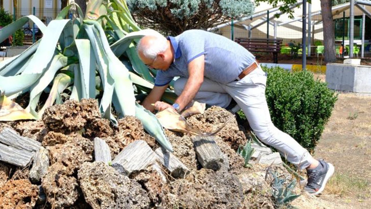 Bu an için 20 yıl beklediler! Ömrünü tamamladı: 10 ila 30 yıl arası yaşıyor