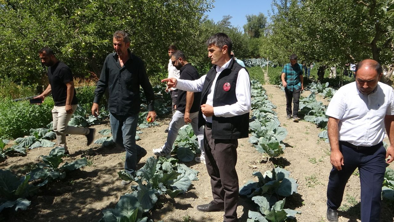 Tarlasına kurduğu sistemle 1 günlük işi 2 saatte yapıyor! Hem işçilikten hem de verimden kazandı