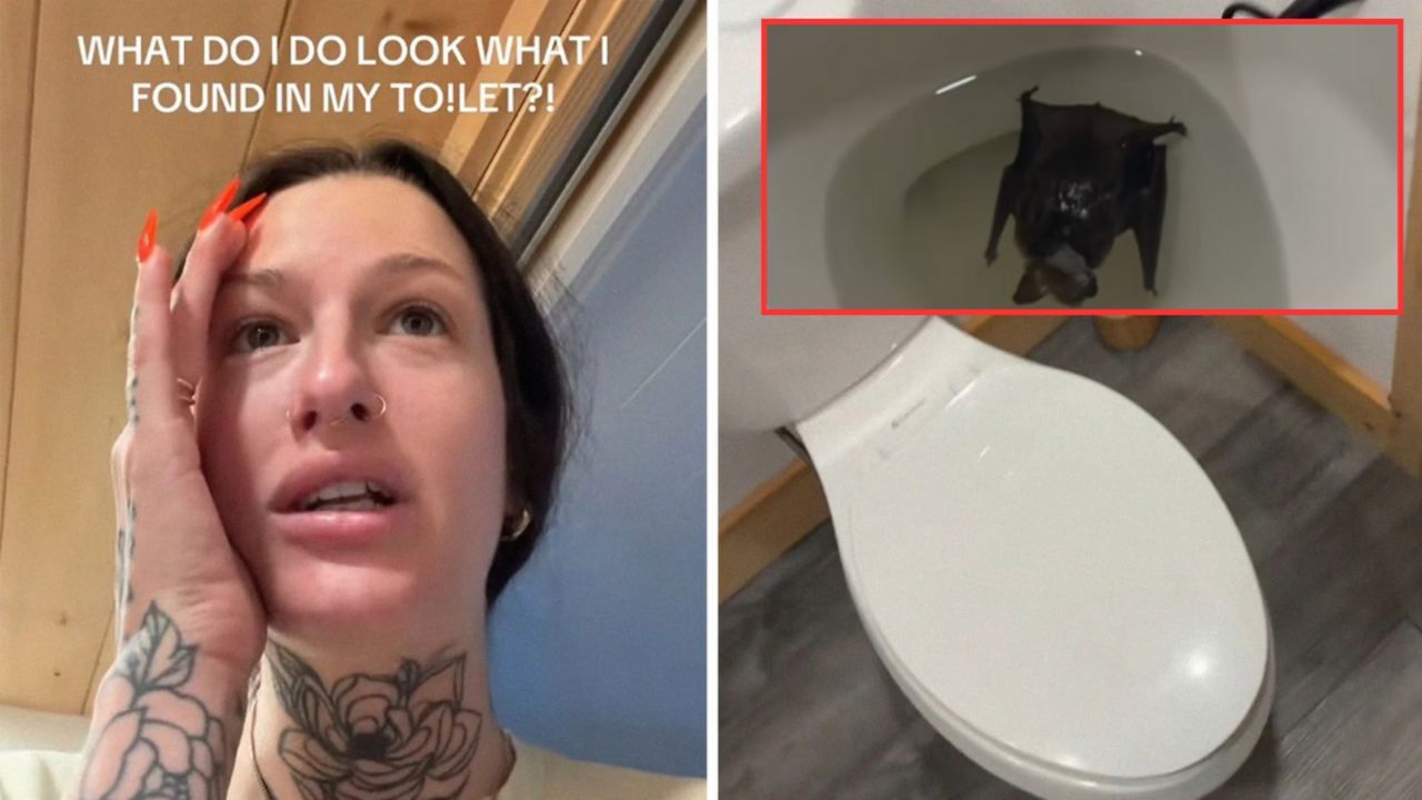 Banyodaki sürpriz onu ölümle burun buruna getirdi! Hayatı altüst oldu