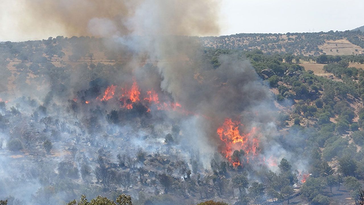 Çanakkale yangınıyla ilgili yeni gelişme! Dört şüpheli serbest bırakıldı