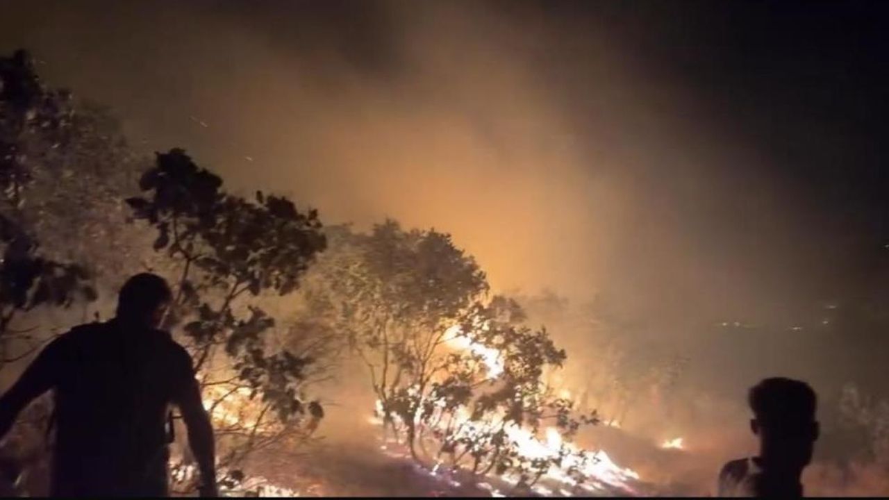 Diyarbakır'dan sevindiren haber! Ormanlık alanda çıkan yangın söndürüldü