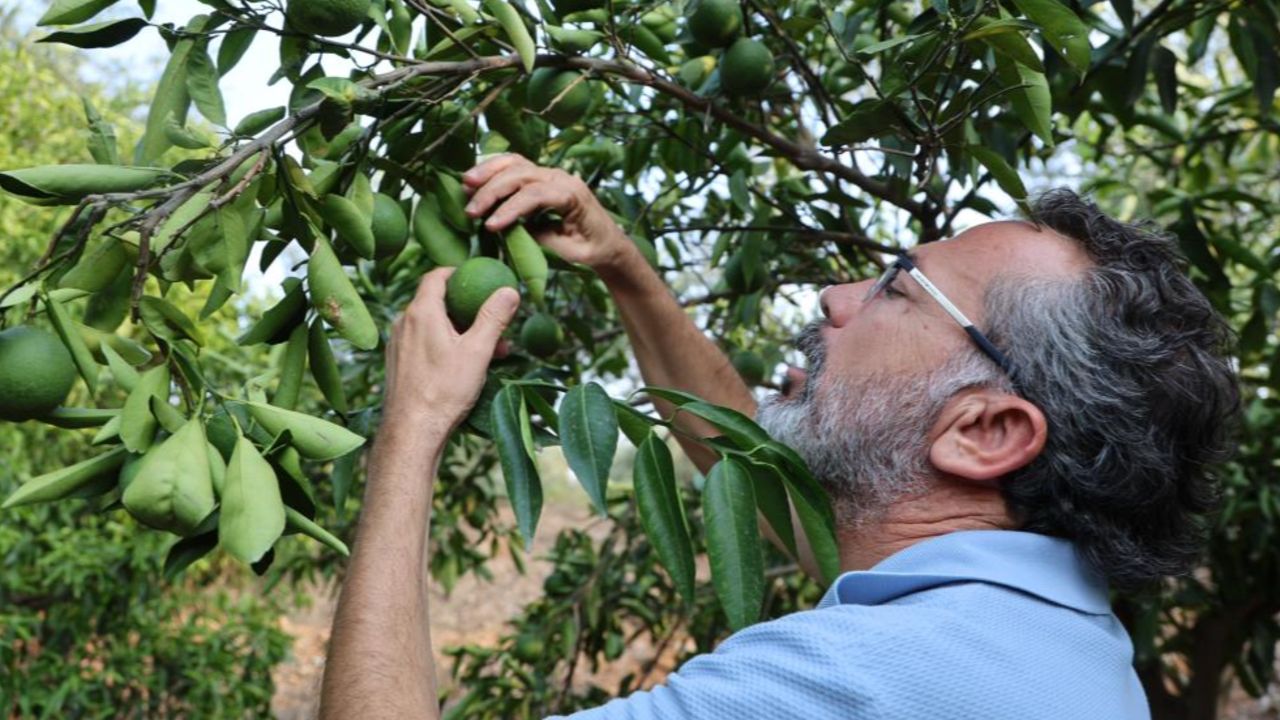 Korkutan gelişme! Kuraklık o ürünleri de tehdit ediyor: "Bu boyutta bir kriz yaşanmamıştı"
