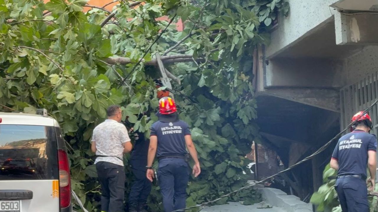 İstanbul'da devrilen ağaçlar araçlara zarar verdi, elektrik kesintisine neden oldu