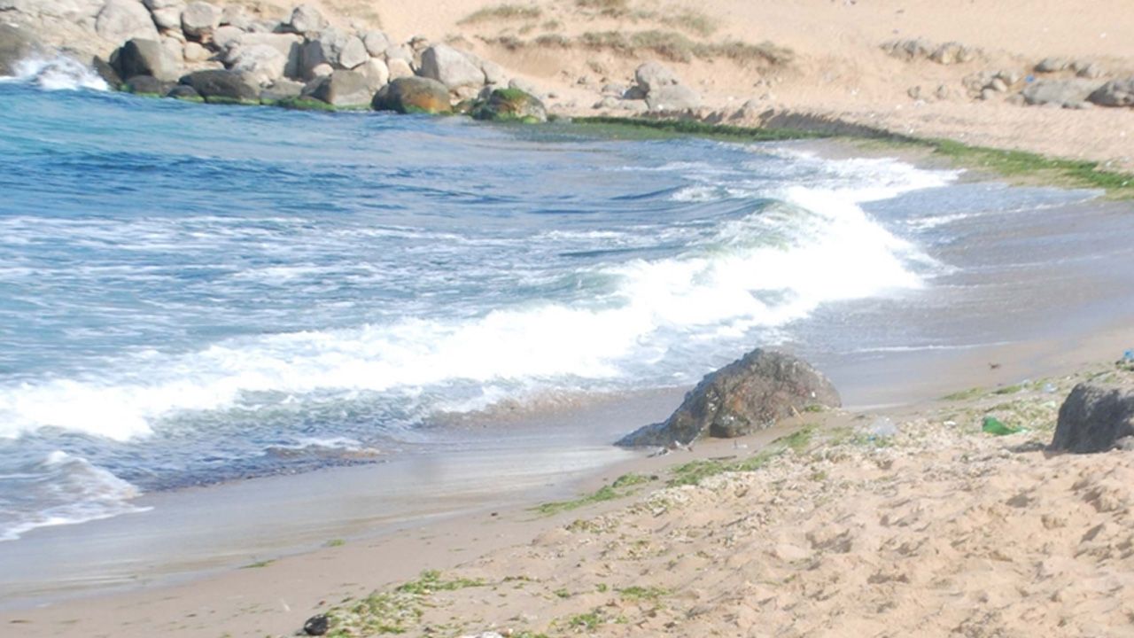 İstanbullular dikkat! 5 ilçede denize girmek yasaklandı