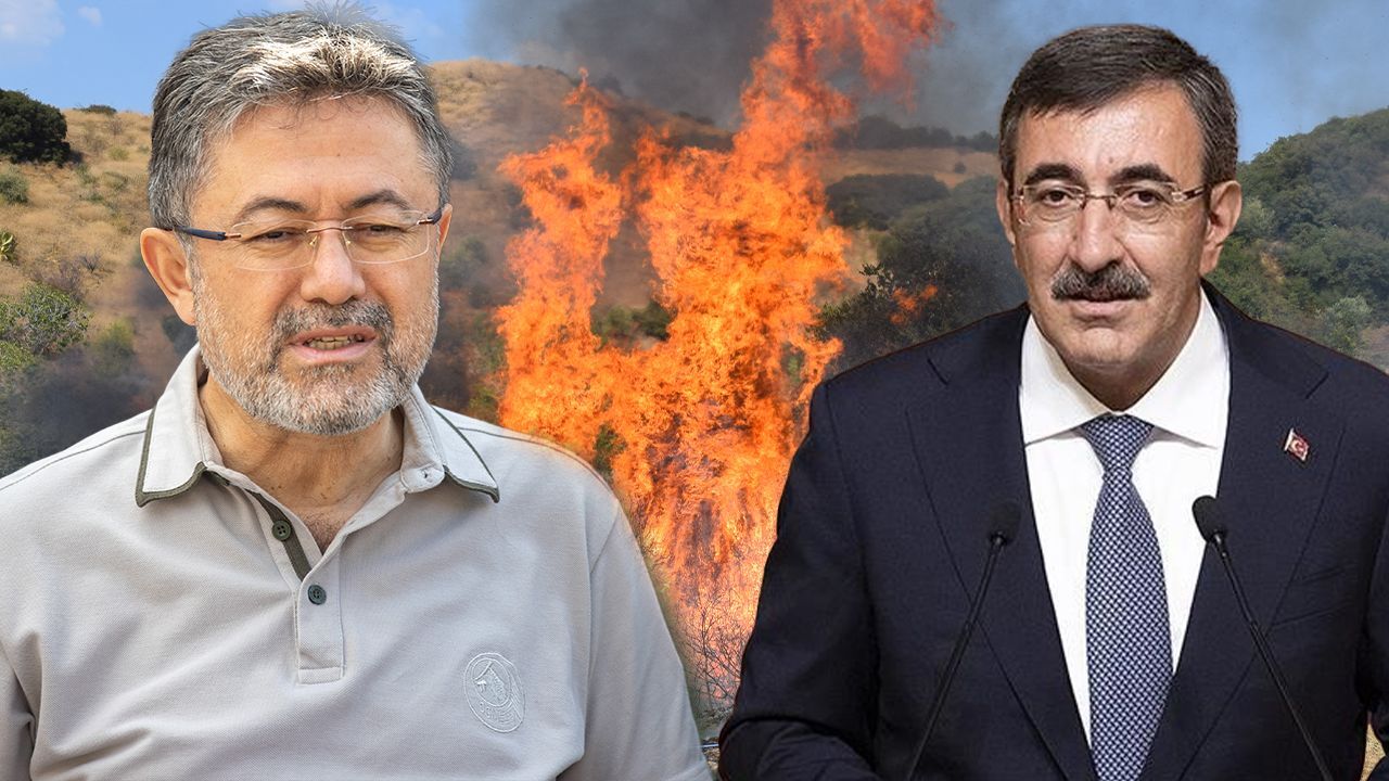 Kabine üyelerinden orman yangınlarına ilişkin değerlendirme: Toplumsal farkındalık oluşturulmalı