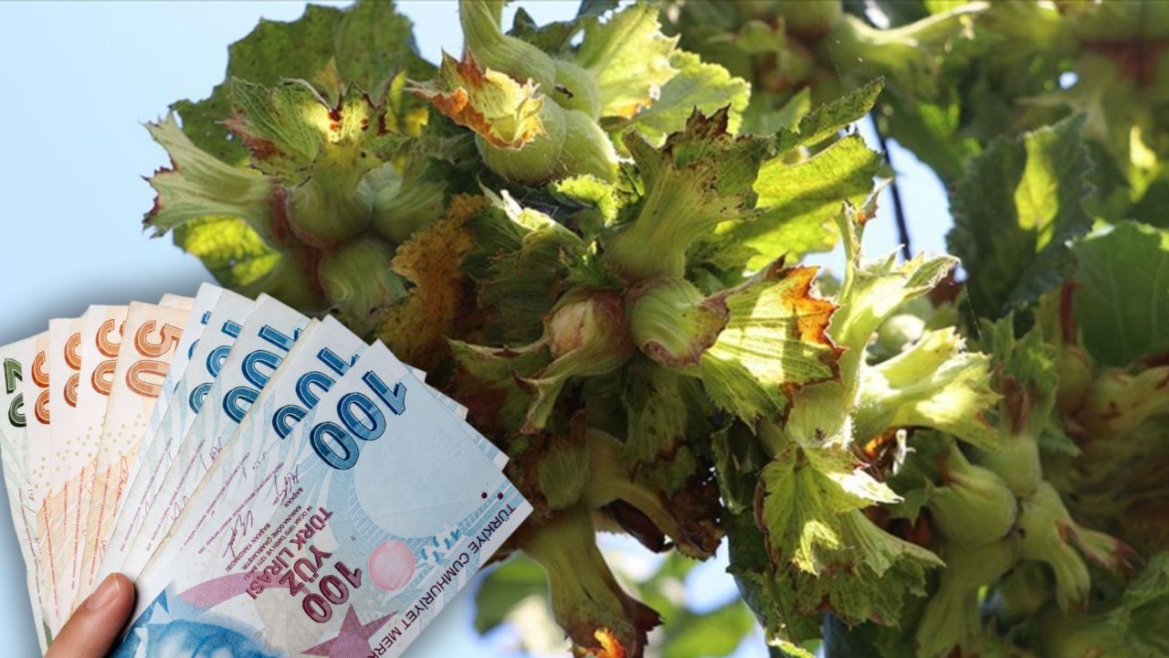 Para etmezse hayat durur! Dünyada rakipsiziz fakat...