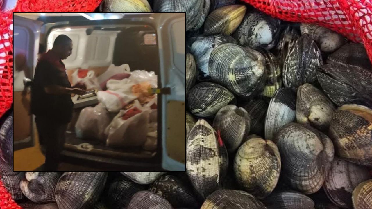 650 kilo toplayıp yurtdışına kaçırmaya çalıştılar! 2 milyonluk ceza kesildi