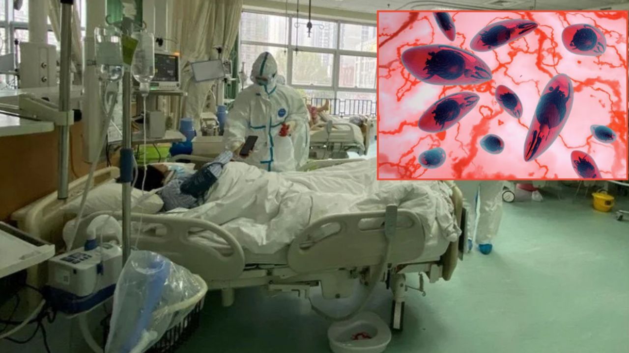 Avrupa’da görülmeye başladı! Hiçbir belirti vermeden organları yiyor