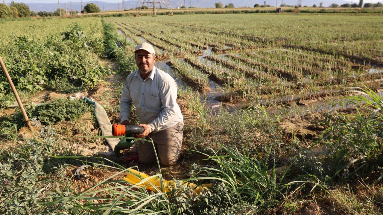 Aydın'da çiftçilerin mesai saatleri değişti! İşte nedeni...