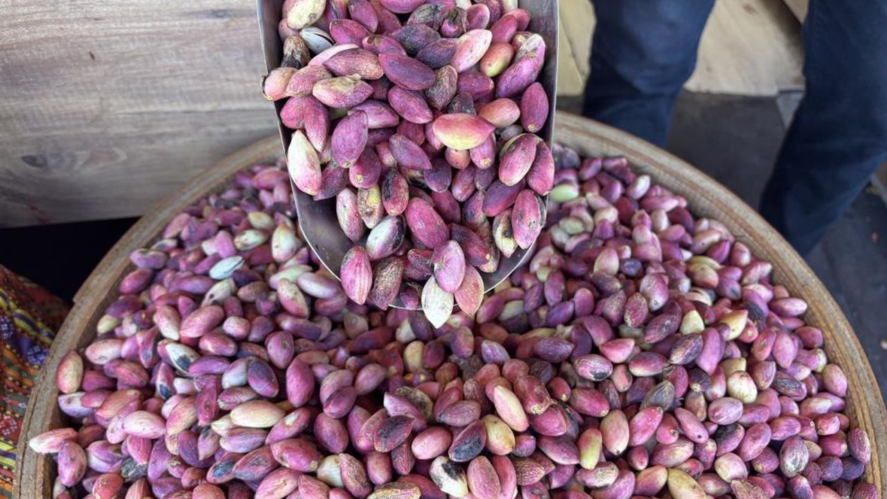 Hasat başladı, yeni mahsul Antep fıstığı tezgahlarda yerini aldı! Fiyatını duyan geri adım atıyor