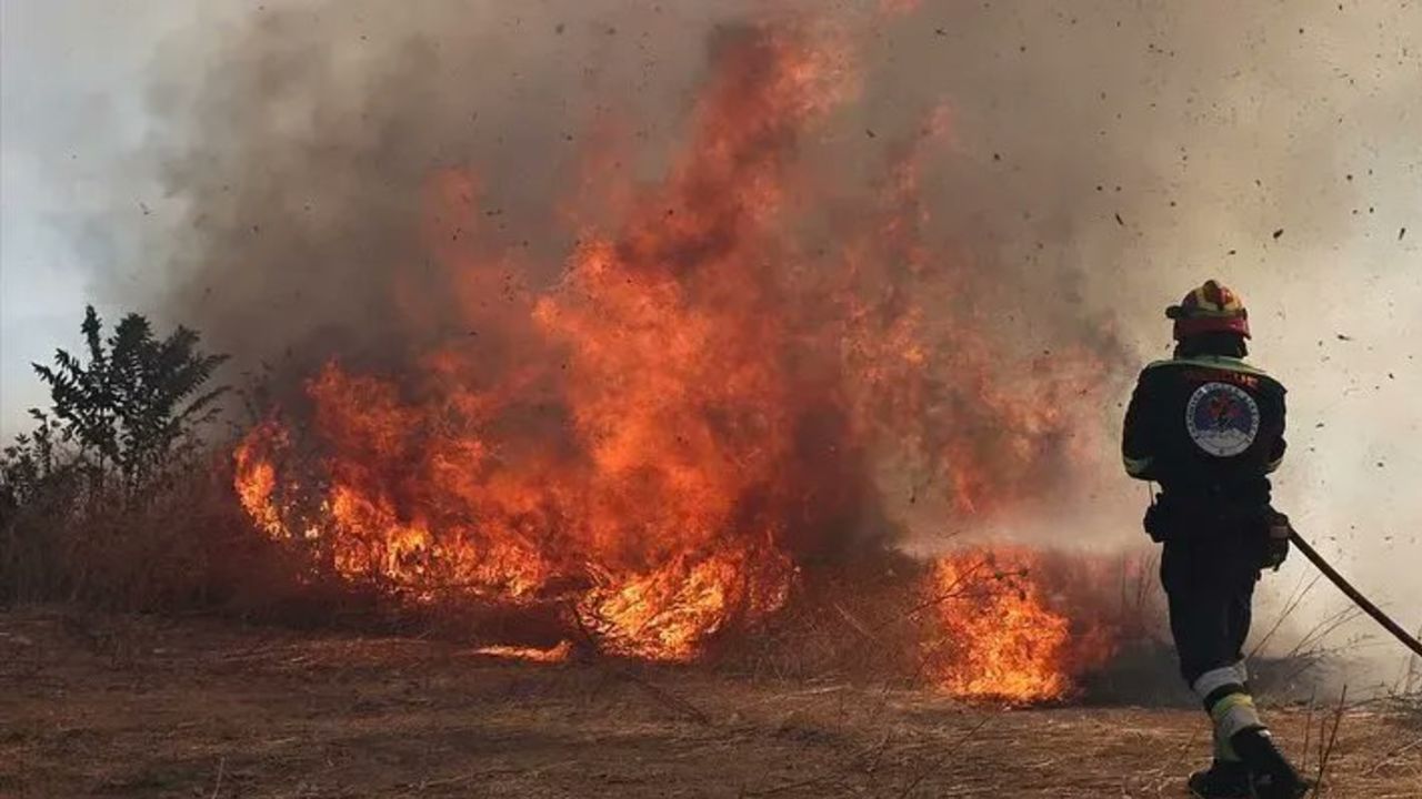 Komşuda yangın felaketi! Kundakçı yakalandı, köyler ve hastaneler tahliye ediliyor