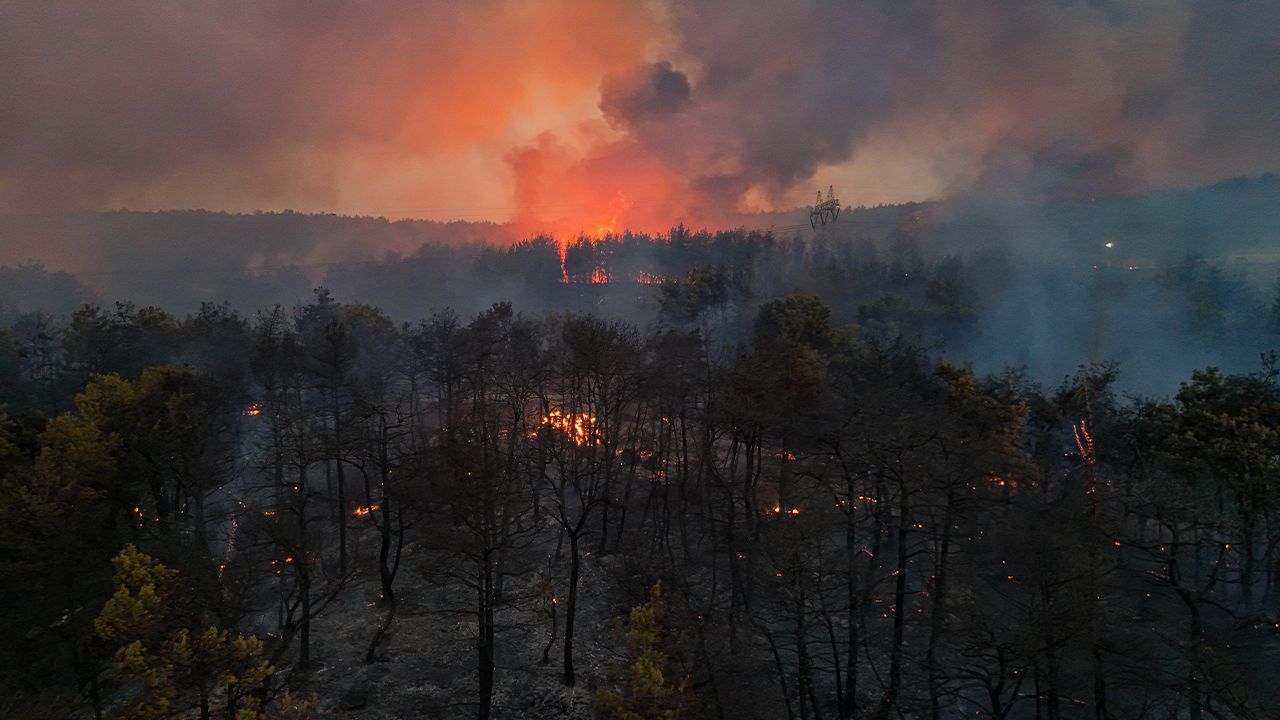 Orman yangınları sonrası harekete geçildi! İşte 5 yıllık yol haritası