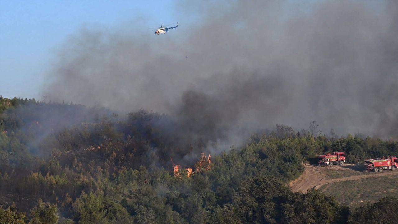 Osmaniye'deki orman yangını söndürüldü mü, son durum ne? Acı haber geldi, bir şehit var