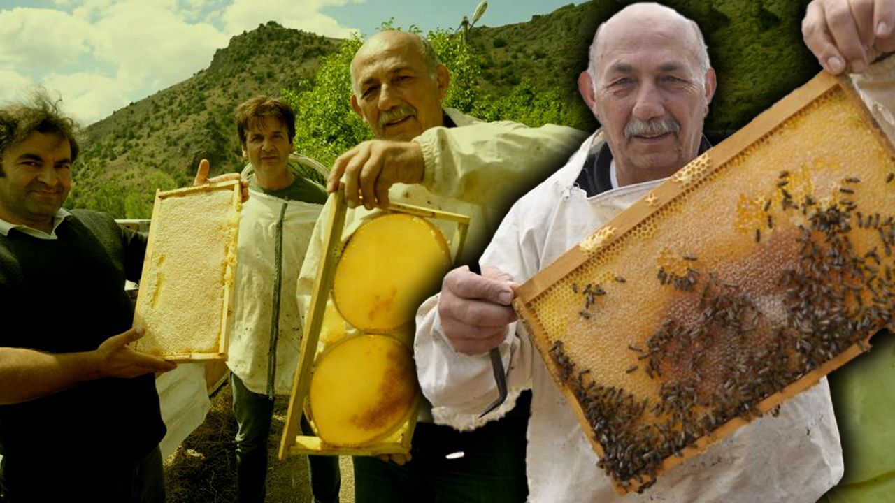 Anzer balına rakip gösteriliyor! Kovan başına 20 kilo hasat! Kilosu 800 TL