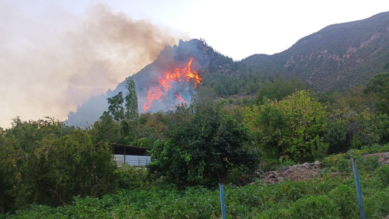 Orman yangınlarında son durum: Mersin