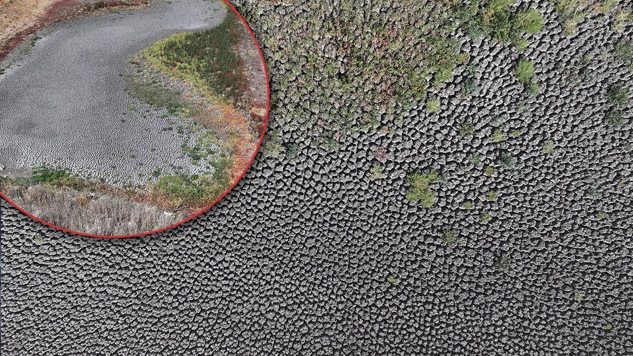 Şehir alarm veriyor! Görenler tanıyamadı, sıcaklar bir göleti daha kuruttu