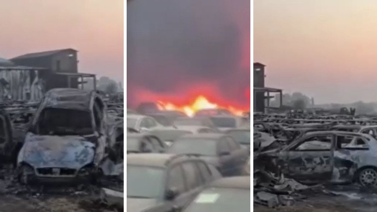 Yunanistan kabusu yaşıyor! Orman yangını otoparka sıçradı: 550 araç küle döndü