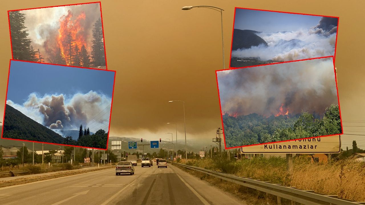 6 ilde ciğerlerimiz yanıyor! Büyük orman yangınının dumanı komşu kentin üzerini kapladı