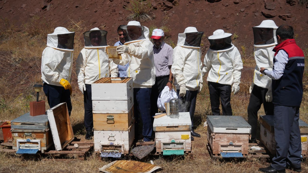Erzincan’da Geven Balı hasadı yapıldı