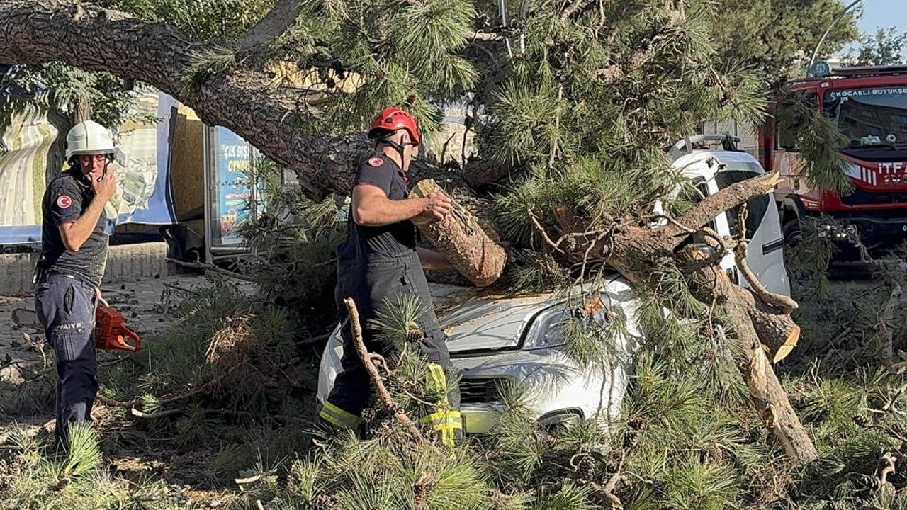 Kocaeli'de korkutan olay: Aracıyla düz yolda giderken üzerine ağaç devrildi!