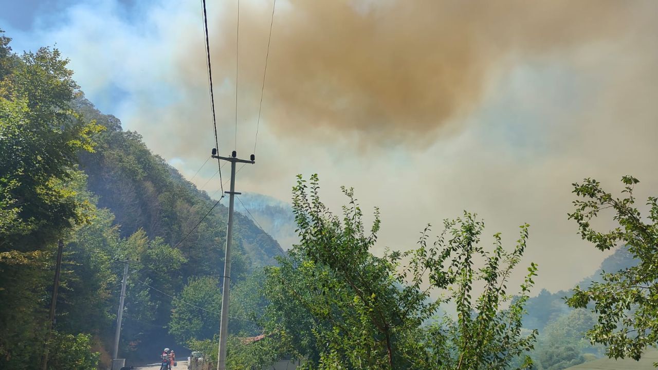 Orman yangınları son durum: Bursa, Bartın ve Kocaeli Karamürsel orman yangını söndü mü, neden çıktı?